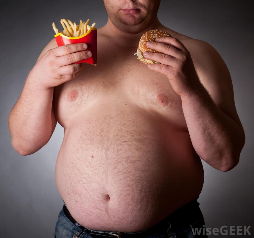 Essay on bad effect of junk food